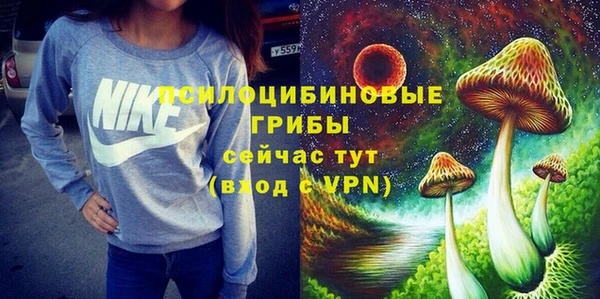 таблы Медногорск